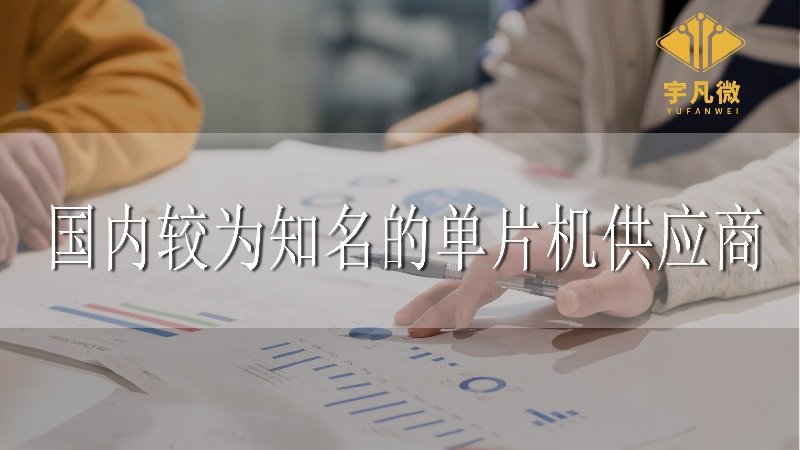 國(guó)內(nèi)較為知名的單片機(jī)供應(yīng)商